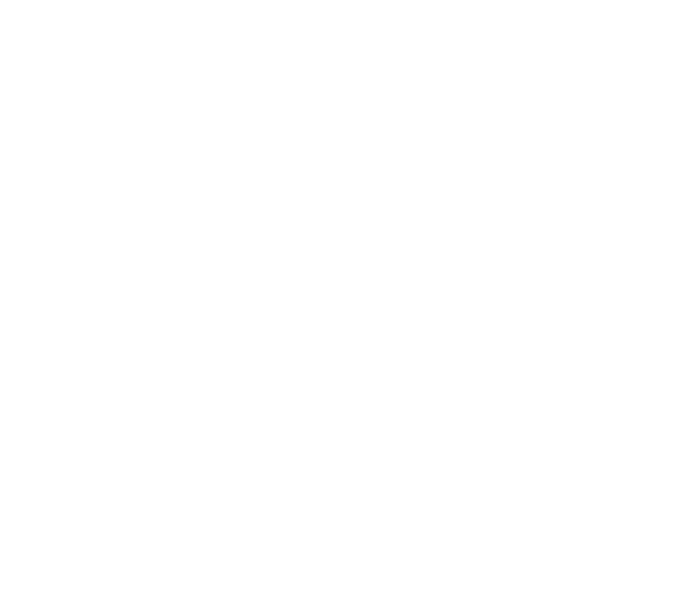 IYL-Logo-Full-Final-MASTER-full-white